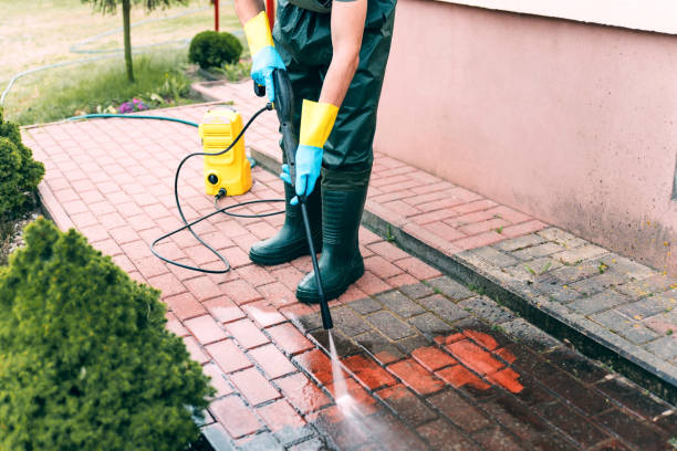 Professional Pressure Washing in Cottonwood, AL